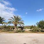 Tierra Roja Cálig